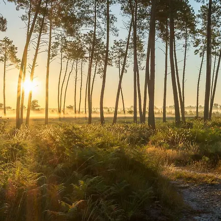 La Hossegor Gæstehus